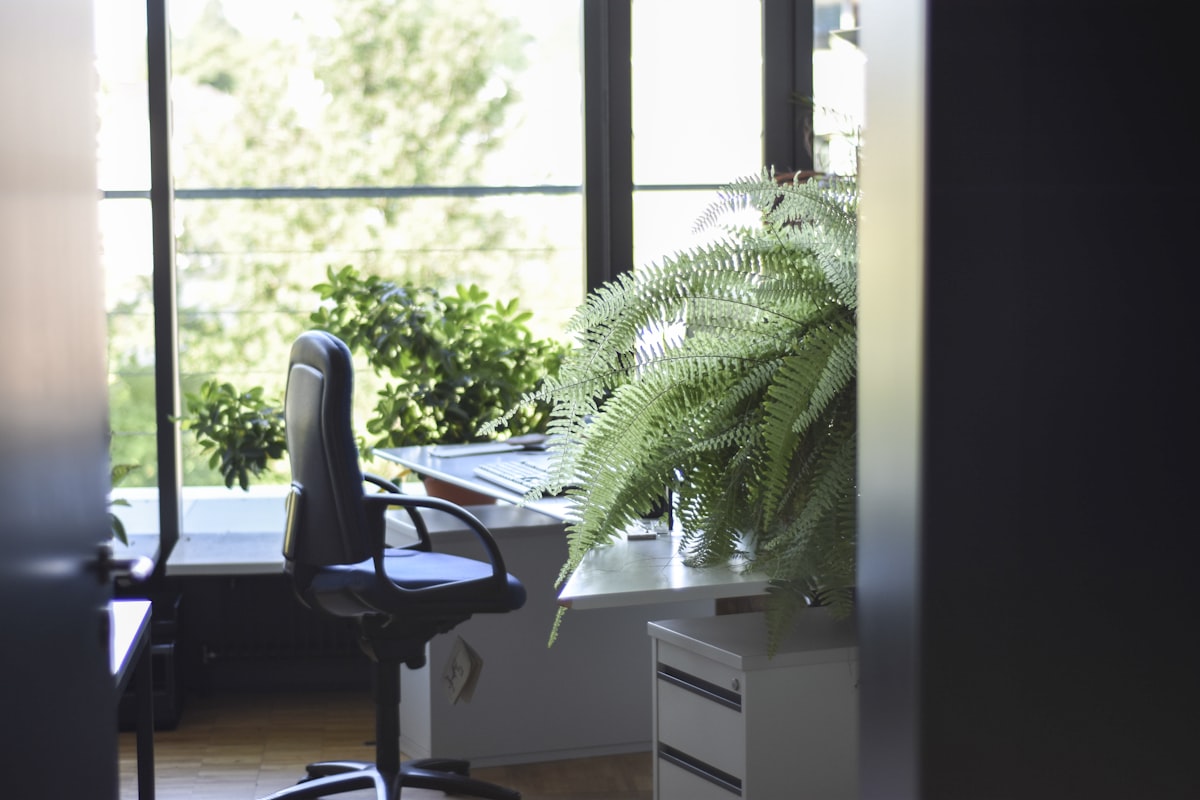 Nettoyage de rentrée : remettre ses bureaux au propre après l’été